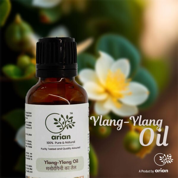 Ylang-Ylang Oil (मनोरंगिनी का तेल) - Image 2