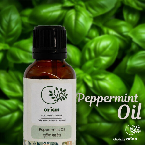 Peppermint Oil (पूदीना का तेल) - Image 2