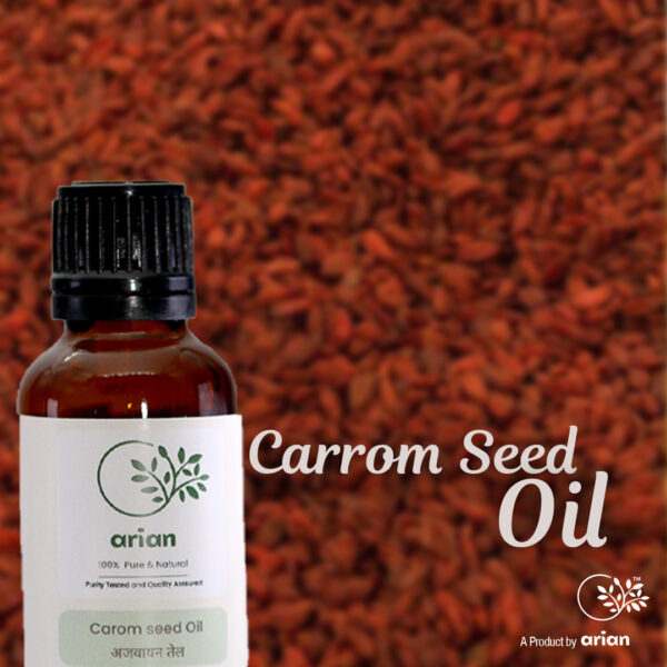 Carrom seed Oil (अजवायन का तेल) - Image 2