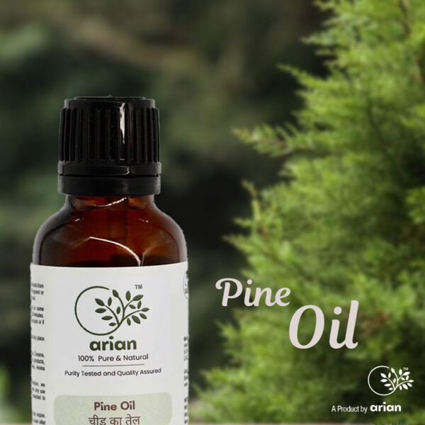 Pine Oil (चीड़ का तेल) - Image 2