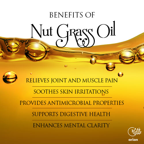 Nut Grass Oil (मोथा का तेल)